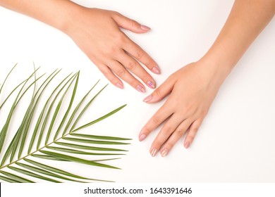 Female hands with palm leaf on white background. Tender women manicure. Beauty, welness and organic natural cosmetic. Top view. Hand and nail care. Healthy lifestyle