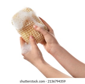 Female Hands With Soapy Sponge On White Background, Closeup