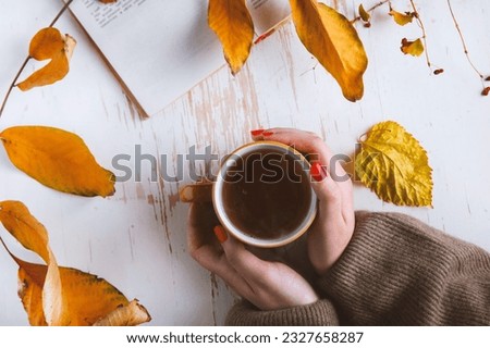 Female hands in a sweater with a cup of tea and a book, on a white background with leaves. Autumn concept.