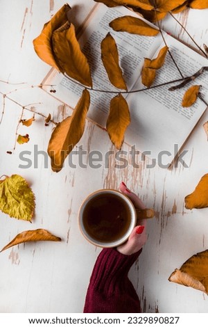 Female hands in a sweater with a cup of tea and a book, on a white background with leaves. Autumn concept.