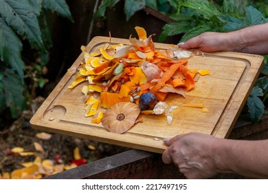 Female Hands Throwing Vegetables And Fruits Skins Into A Compost Bin, Outdoor Close Up