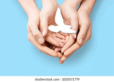 847 Hands bible dove Images, Stock Photos & Vectors | Shutterstock