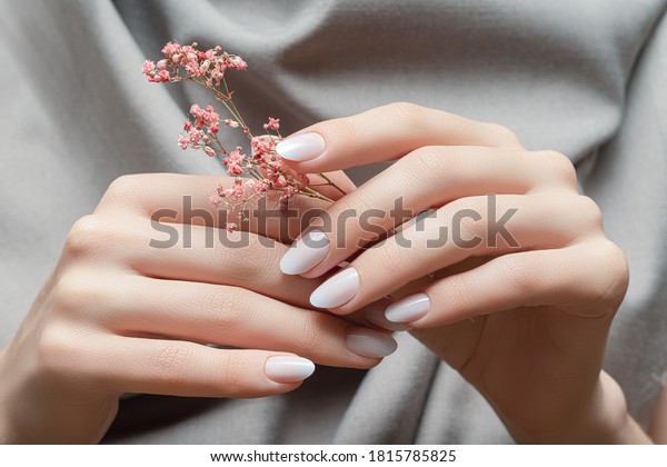 Female\
hands with white nail design. Female hands holding pink autumn\
flower. Woman hands on gray fabric\
background.