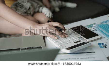 Female Hands Working On calculator for counting financial With her cat
