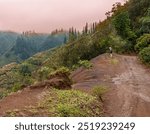 Female Hiker and Fog Covered Hills On The Munro Trail, Lanai, Hawaii, USA