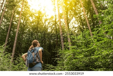 Female hiker in the forrest looks up to the trees finding peace in nature 