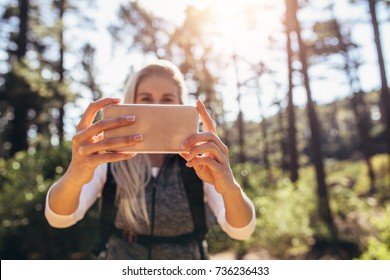 Female Hiker Looking At Her Mobile Phone Holding It With Both Hands. Woman Trekker Taking Help Of Mobile Phone For Navigation In Forest.