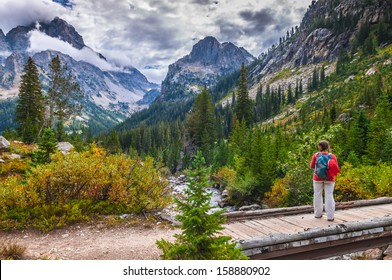 Female Hiker On A Foot Bridge In Cascade Canyon