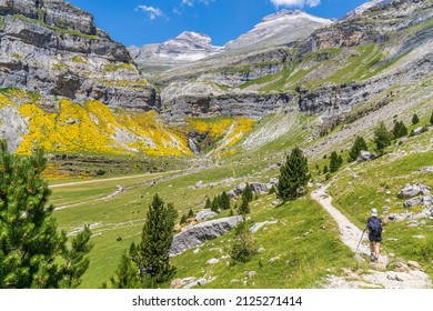 Female hiker on the way to the Cola de Caballo waterfall in Ordesa and Monte Perdido National park, Aragon, Huesca, Spain. - Shutterstock ID 2125271414