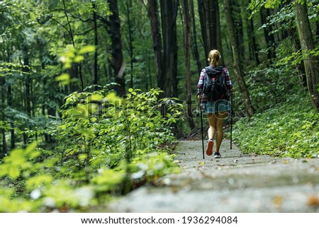 Female hiker walking trough forest and joying in nature.Rear view.