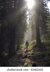 Female Hiker Walking Under The Rays Of The Morning Sun In The Mountain Forest