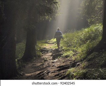 Female Hiker Walking Under The Rays Of The Morning Sun In The Mountain Forest