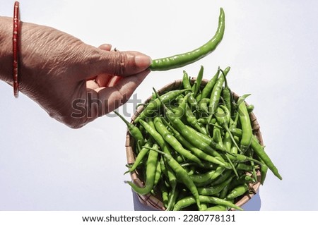 Female holding Fresh green chilly in hand