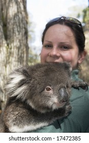 Female Holding Koala In Australia