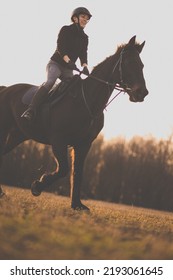 Female Horse Rider Riding Outdoors On Her Lovely Horse