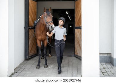 Female horseman going with her brown Thoroughbred horse near stable. Concept of animal care. Rural rest and leisure. Idea of green tourism. Young european woman wearing helmet and uniform