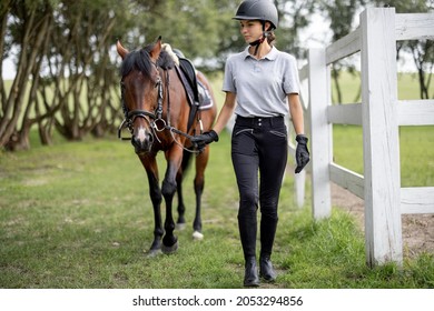 Female horseman going on meadow with her brown Thoroughbred horse. Concept of animal care. Rural rest and leisure. Idea of green tourism. Green countryside landscape on sunny day. Young european woman