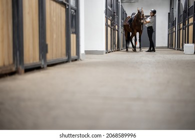 Female horseman with her brown Thoroughbred horse in stable. Concept of animal care. Rural rest and leisure. Idea of green tourism. Wide view with copy space