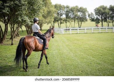 Female horseman riding brown Thoroughbred horse on green meadow in countryside. Concept of rural resting and leisure. Green tourism. Young smiling european woman. Beautiful landscape at sunny day - Powered by Shutterstock