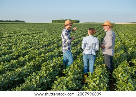 Female insurance sales representative walking in soy field between two male farmers. Three people talking about agriculture pointing explaining. 