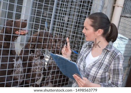 Similar – Little baby cow feeding from milk bottle.