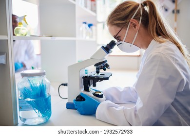 Female lab technician looking at samples through a microscope while working at a table in a lab - Powered by Shutterstock