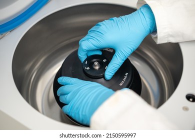 Female Lab Technician In Rubber Gloves Refills A Centrifuge And Close The Cap. DNA Test Or Onglogy Marker Tests Concept. 