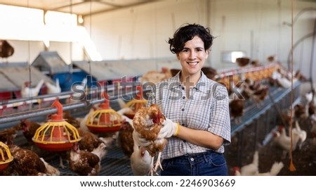 Female latino farmer holding chicken in poultry farm