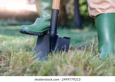 Female legs in green wellies and a spade garden tool. Autumn gardening and digging green lawn. - Powered by Shutterstock