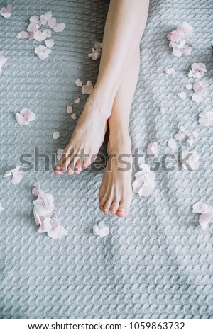 Similar – Image, Stock Photo legs Bed Feminine