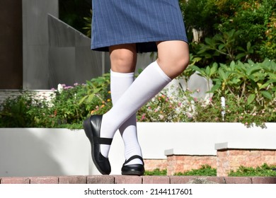 Female Legs Skirt And White Socks