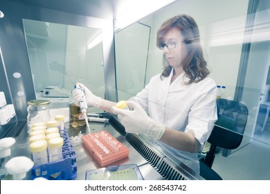 Female life scientist researching in laboratory, pipetting cell culture medium samples in laminar flow. Photo taken from laminar interior. - Powered by Shutterstock