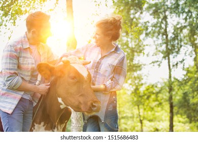 Female And Male Farmer Petting Cow In Farm With Yellow Lens Flare In Background