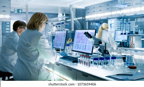 Female and Male Scientists Working on their Computers In Big Modern Laboratory. Various Shelves with Beakers, Chemicals and Different Technical Equipment is Visible. - Shutterstock ID 1073659406