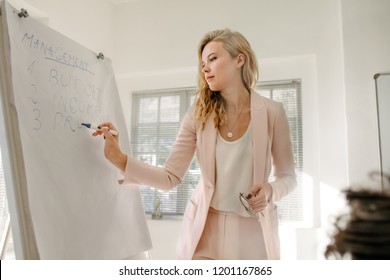 Female Manager Makes A Presentation To Colleagues In Boardroom. Woman Writing On Flip Chart Board During Finance Meeting In Office.