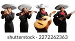 female mariachi band, mexican music group of women playing instruments trumpet, violin, guitar and mexican big guitarron