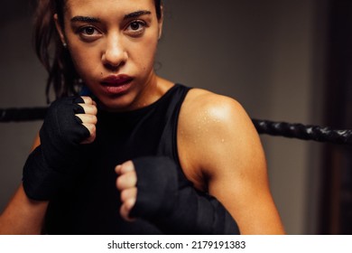 Female martial artist looking at the camera while standing in fighting position inside a boxing ring. Female boxer training in a boxing gym. - Powered by Shutterstock