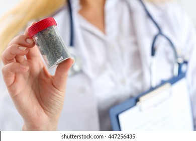 Female medicine doctor hand hold and offer to patient medical marijuana in jar. Cannabis recipe for personal use, legal light drugs prescribe, alternative remedy or medication, folk medicine concept