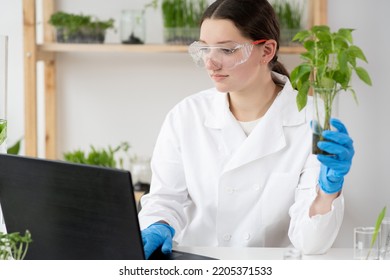 Female Microbiologist In Glasses With A Healthy Green Plant In A Sample Flask. Medical Scientist Working In A Food Science Laboratory With Advanced Technology Computers.