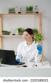 Female Microbiologist In Glasses Looking At A Healthy Green Plant In A Sample Flask. Medical Scientist Working In A Food Science Laboratory With Advanced Technology Computers.