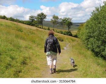 Female And Miniature Schnauzer Dog Walking On Exmoor National Park, Between Withypool And Landacre Bridge In Somerset, England, UK