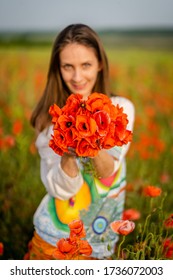 Female Model Picking Poppy Flowers In A Field In Bulgaria. Woman In Poppy Field. Woman Among Red Flowers, Holding Boquet Of Red Flowers. Caucasian Woman With Red Flowers In Spring Photoshoot