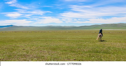 A Female Mongolian Herder, Herding Cattle On A Huge Green Grassland By Horse