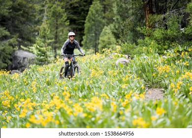 female mountain biker riding through meadow