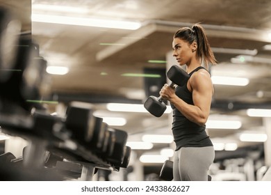 A female muscular bodybuilder is exercising with dumbbell in a gym.