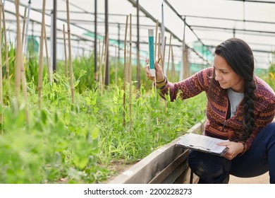 Female  native american research assistant on the field in a greenhouse - Shutterstock ID 2200228273