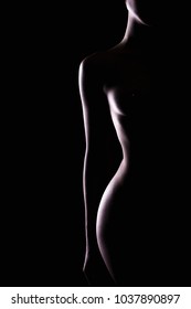 Female Nude Silhouette. young Sexy Woman. Girl with Naked Body