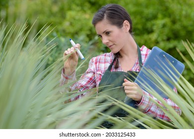 female nursery worker with clipboard inspecting plantlife