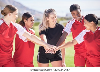 Female Only Soccer Team Joining Hands In A Huddle In Unity, Support And Trust Before A Match Or Competition. Happy Group Or Squad Of Womens Football Players On A Field Standing In A Circle