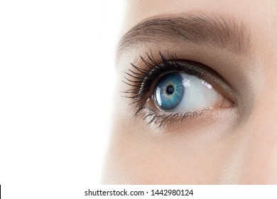 Eyes Medicine High Res Stock Images Shutterstock